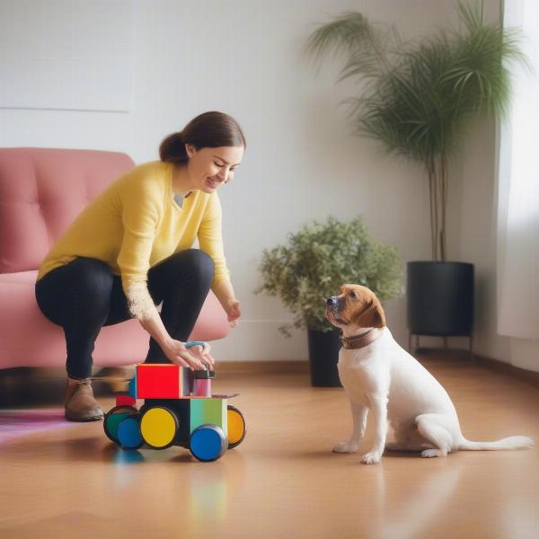 Dog owner showing a new wheeled toy to their pet