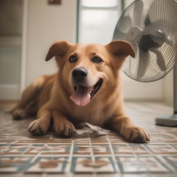 Dog panting on a hot night