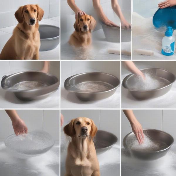 Dog Paw Soaking Process