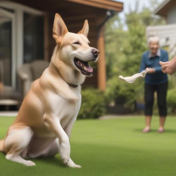 Dog peeing outside and receiving positive reinforcement