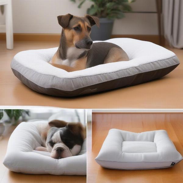 Benefits of Dog Pillow Beds: Comfort, Support and Easy Cleaning