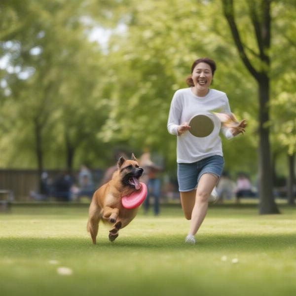 A dog playing fetch with its owner in a sunny park.