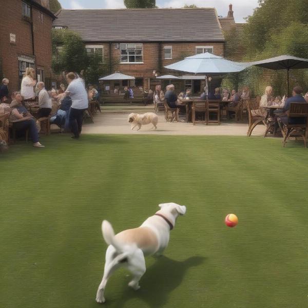 Dog playing in a spacious pub garden in Surrey.