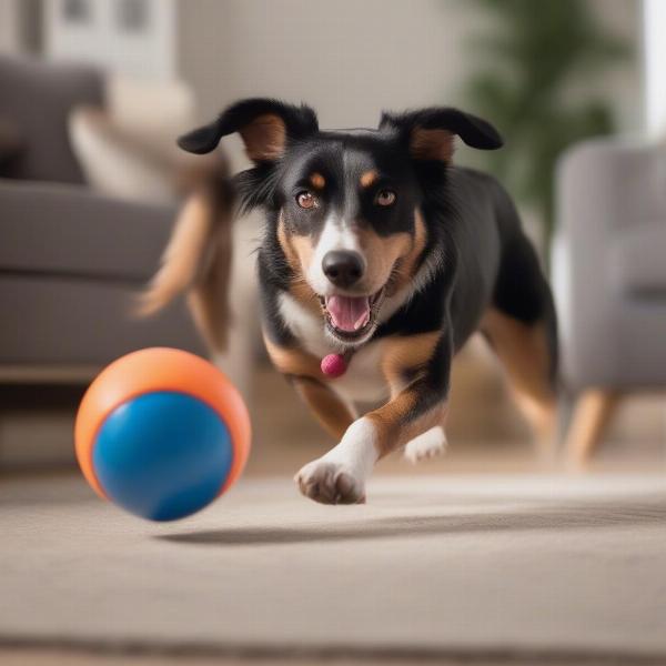 Engaged Dog Playing with a Ball in a Ball Toy