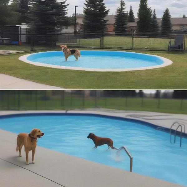 Different types of dog pools in Calgary