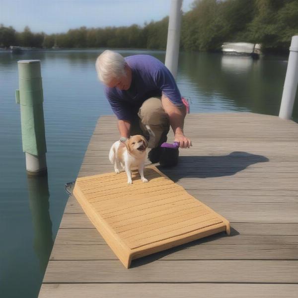 Training your dog to use the dock ramp is a gradual process.