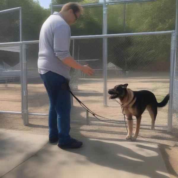 A potential adopter meeting a dog at a Beverley rescue center