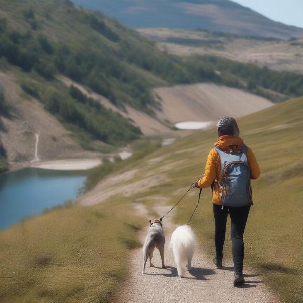 Hiking with a dog at Dog River Reservoir