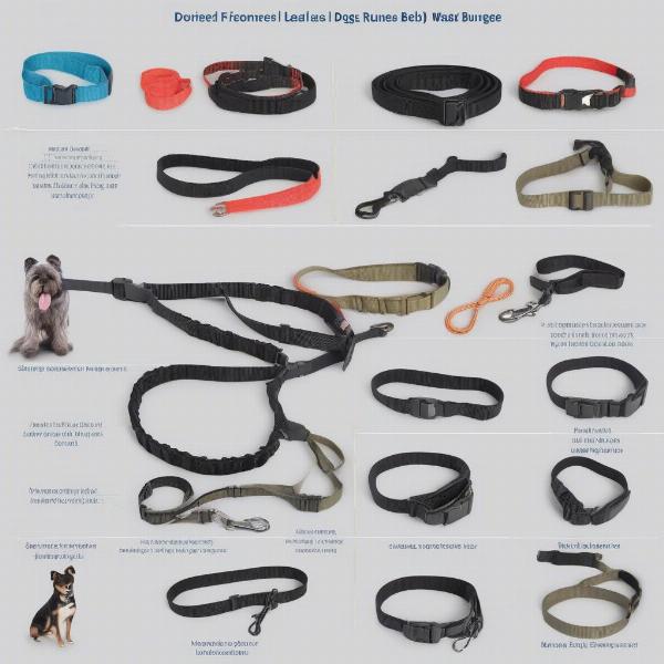 Different Types of Dog Runner Leads