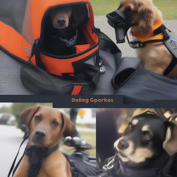 Essential Dog Safety Gear for Motorcycle Trailers