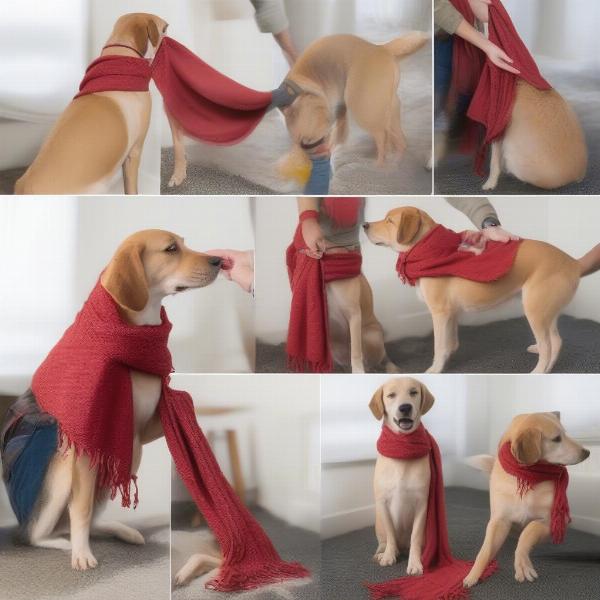 Safety tips for using dog scarves