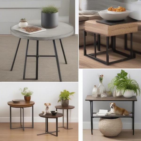 Dog Side Table Styles to Match Different Home Decors