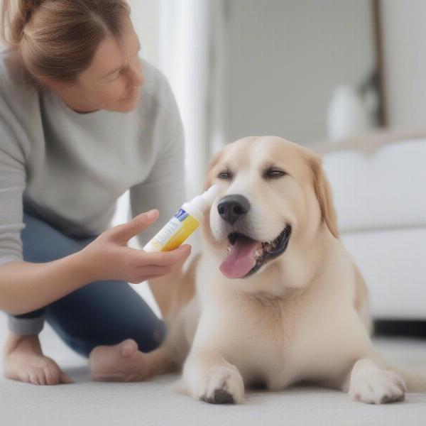 Treating Dry Skin in Dogs