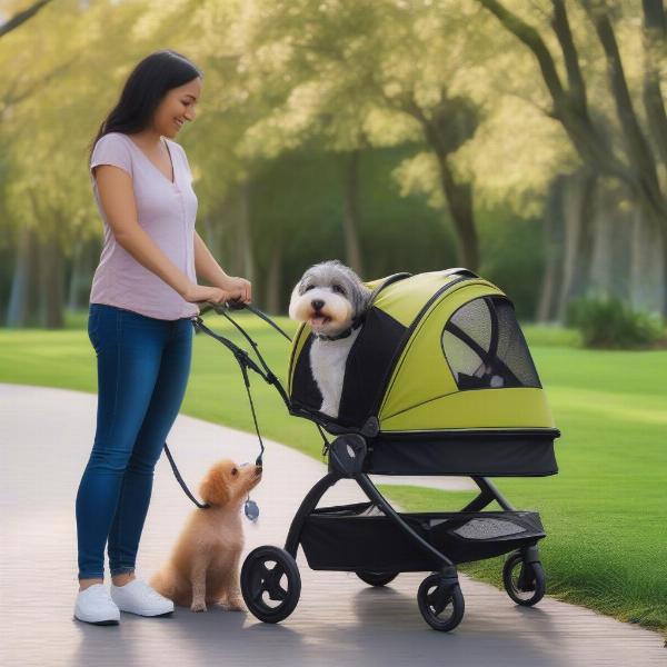 Dog stroller with detachable carrier in a park