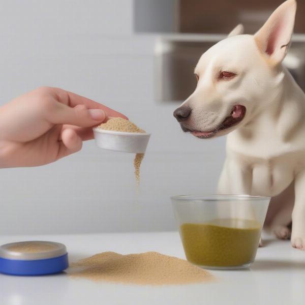 A dog being given a probiotic supplement