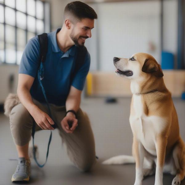 Dog Trainer Consultation in Helena, MT