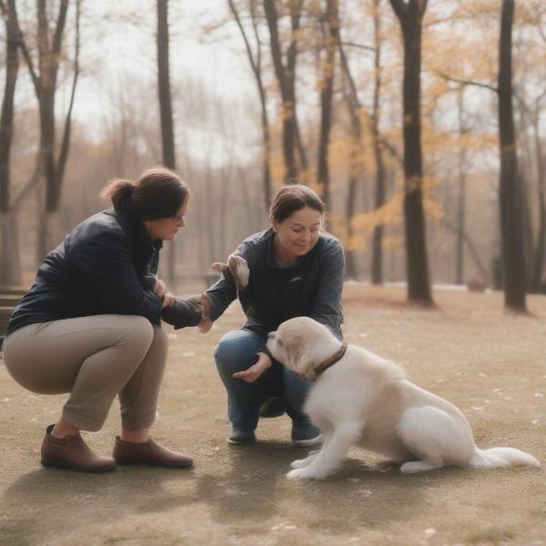 Dog Trainer Consultation in St. Charles, MO