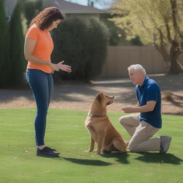 Dog training assessment in Walnut Creek