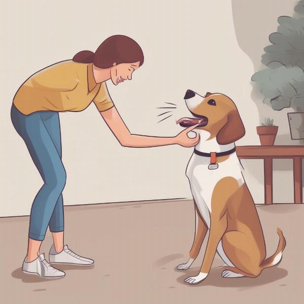 Training a dog to control barking