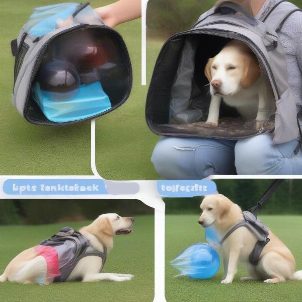 Training a Dog to Use a Bubble Backpack