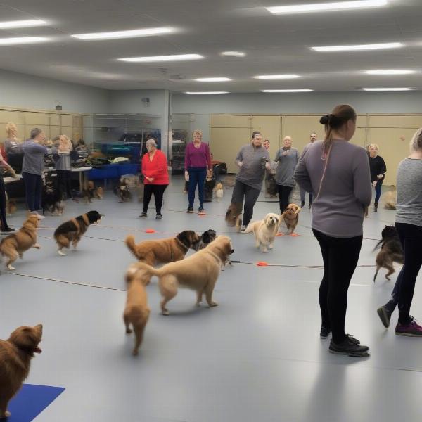 Dog Training Class in Swansea