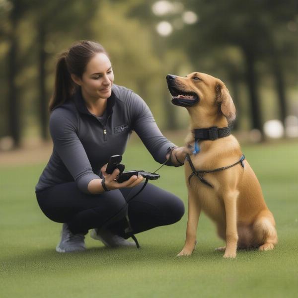 Dog Training with GPS Collar