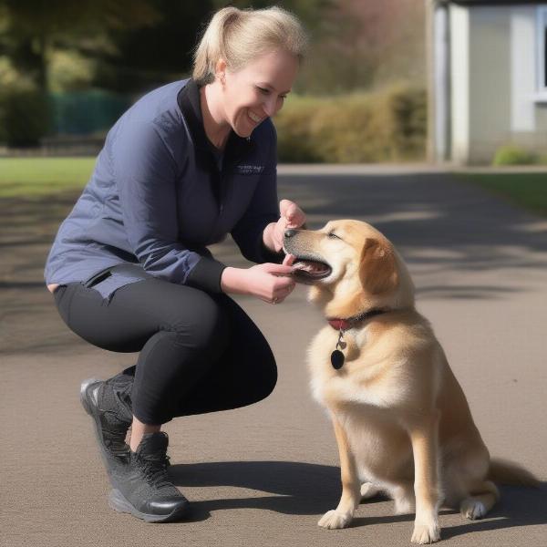 Positive Reinforcement Dog Training in Sutton Coldfield