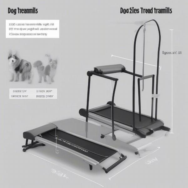 Dog Treadmill Sizes in Canada