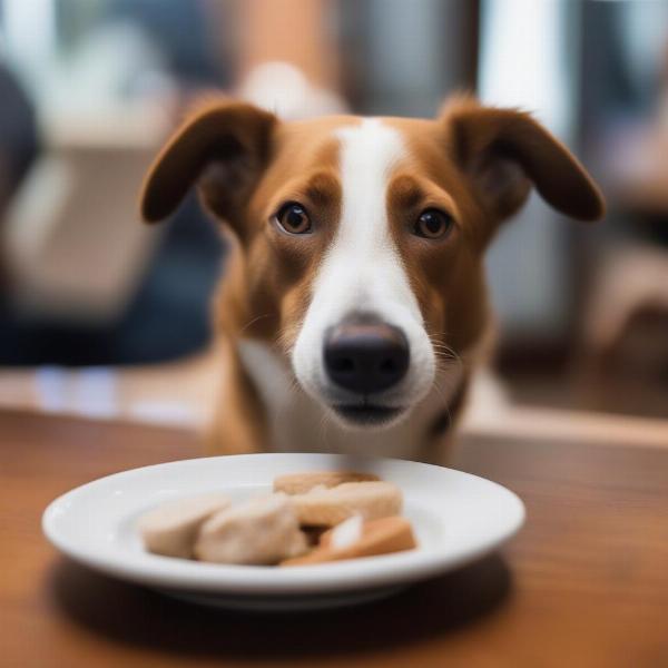 Dog treats at a Jacksonville restaurant