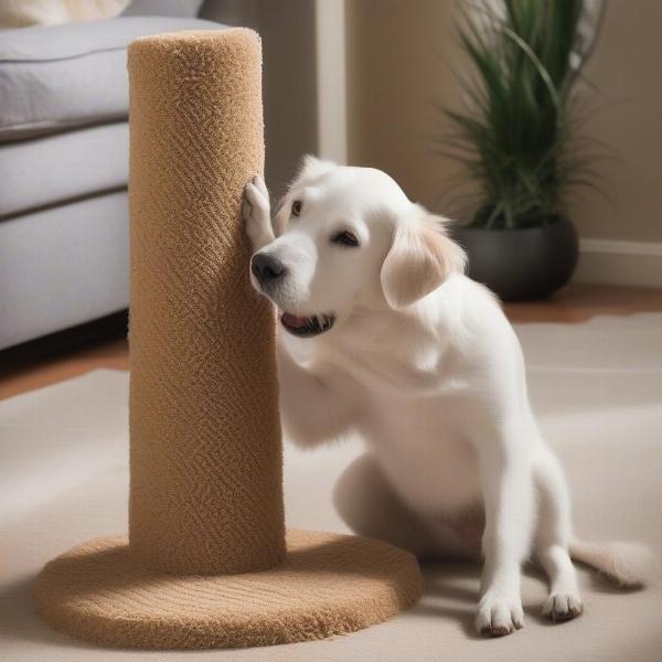 Dog using a scratching post