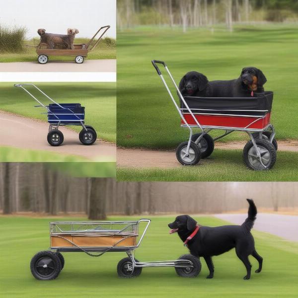 Comparing Dog Wagon Cart Sizes