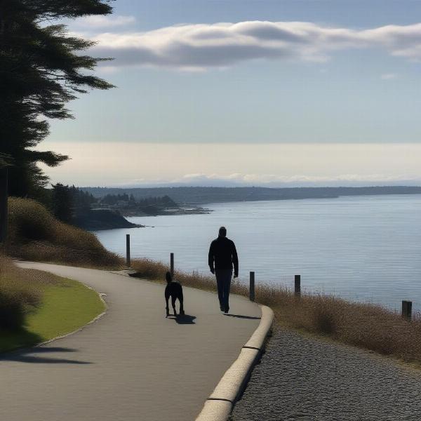 Dog walking on the Dallas Road Waterfront Trail in Victoria, BC, with the ocean in the background.