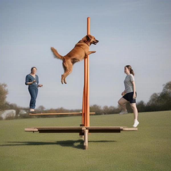 Dog walking on low seesaw