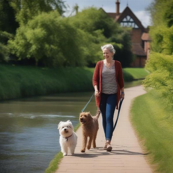 Dog enjoying a walk along the River Avon in Stratford-upon-Avon.