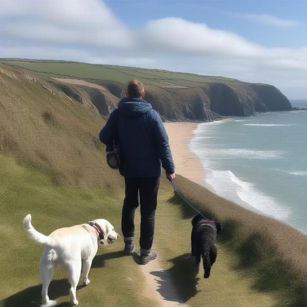 Dog Walking on the South West Coast Path, Perranporth