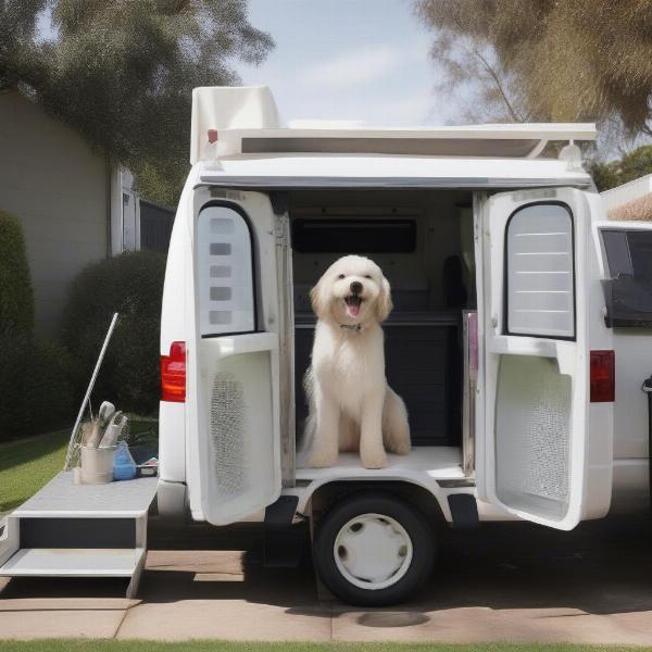 Mobile dog grooming service in Mornington