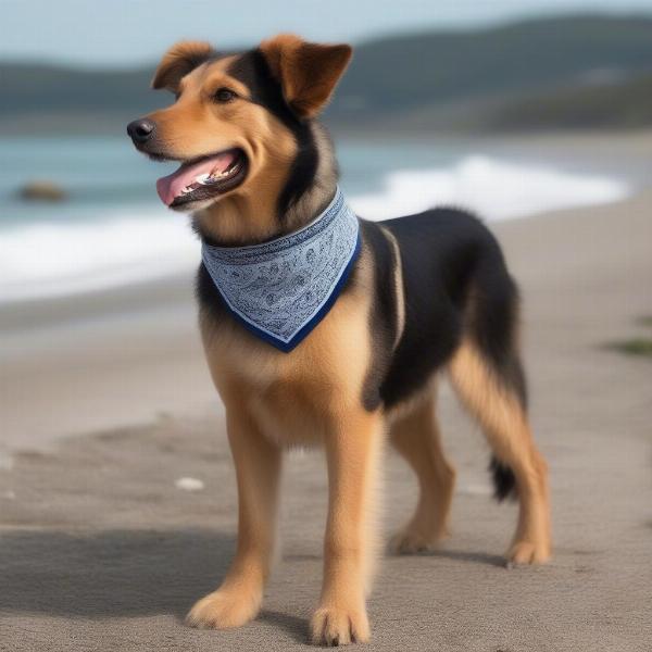 Dog Wearing a Bandana Collar