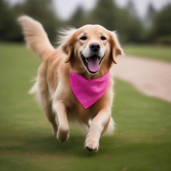 Dog wearing pink bandana at the park