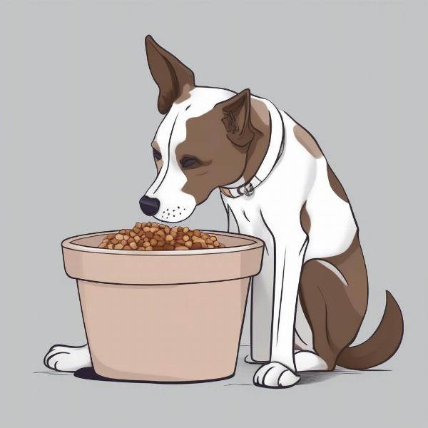 Dog whining at food bowl