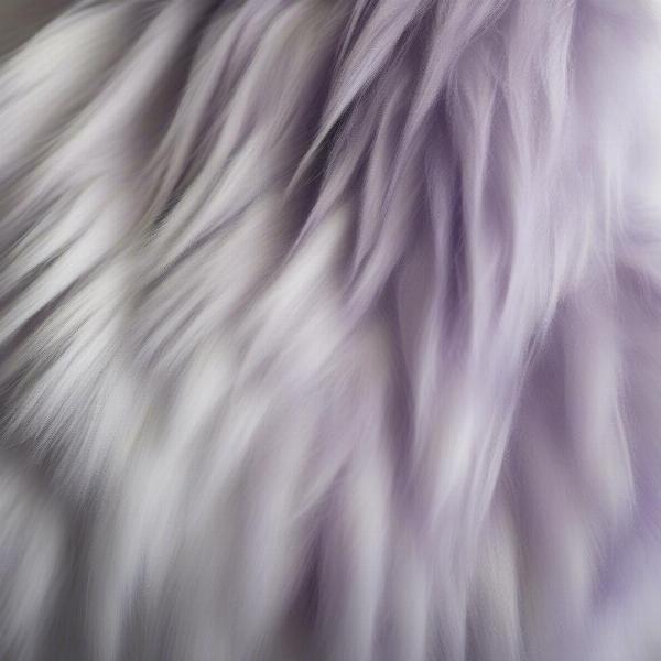 A dog with a bright, white coat after using purple shampoo.