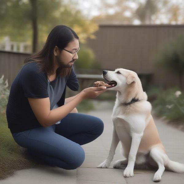 Dog with Meaty Bone Supervised