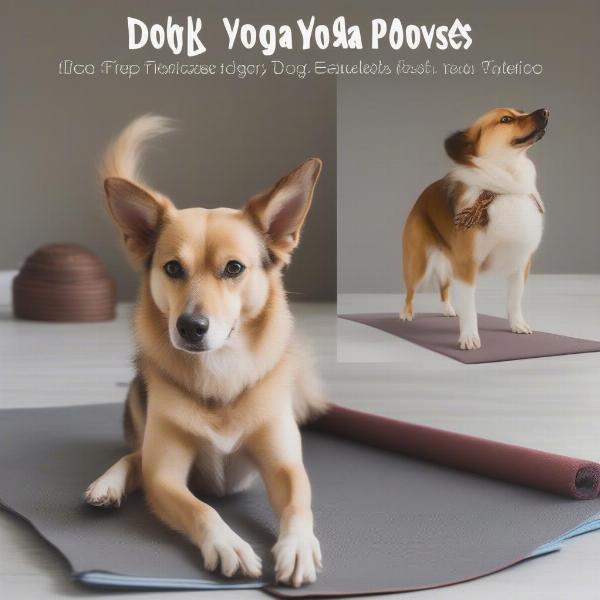 Dog Yoga Poses