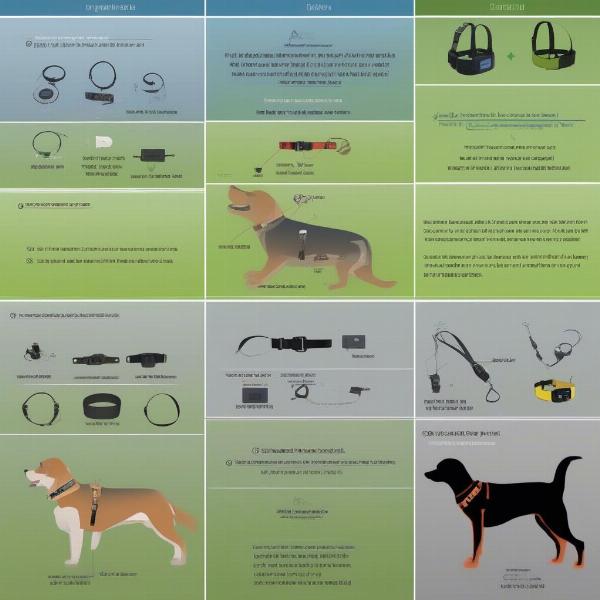 Types of Dogtra Collars