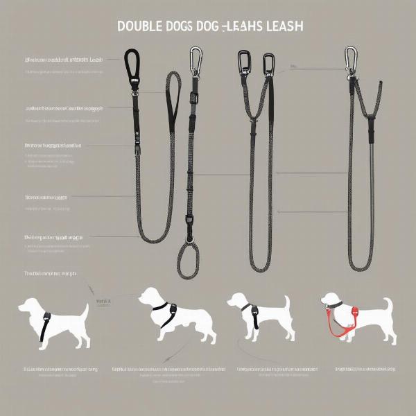 Types of Double Dog Leashes