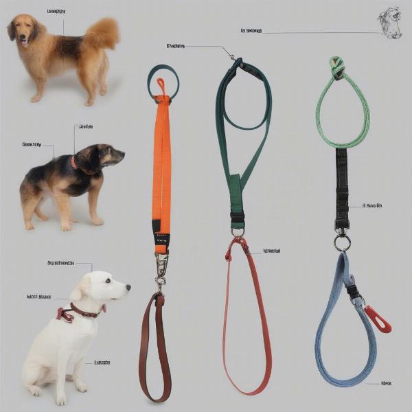 Different Types of Double Handle Dog Leads