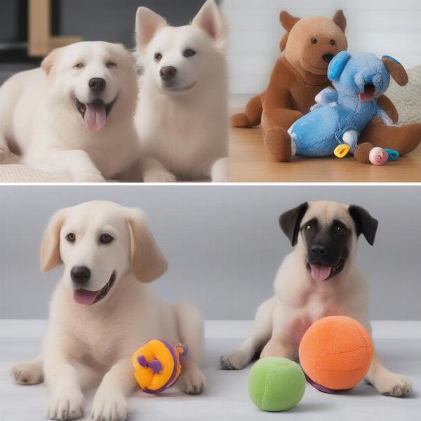 Douglas Toys for Puppies, Adults, and Seniors