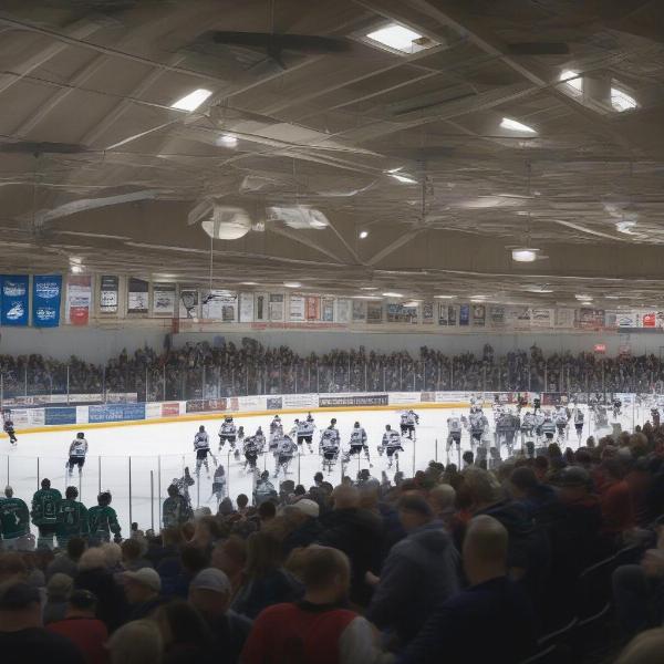 Dryden Memorial Arena on Game Day