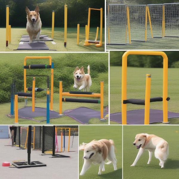 Essential Dog Agility Equipment