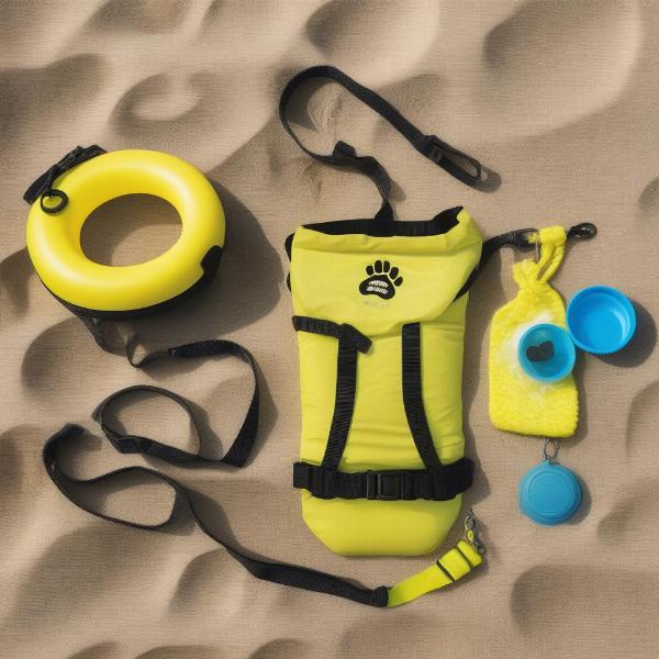 Essential Dog Beach Gear