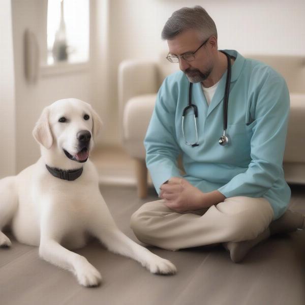 Veterinarian discussing quality of life assessment with a dog owner